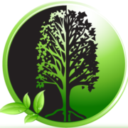 greenlawninc.com